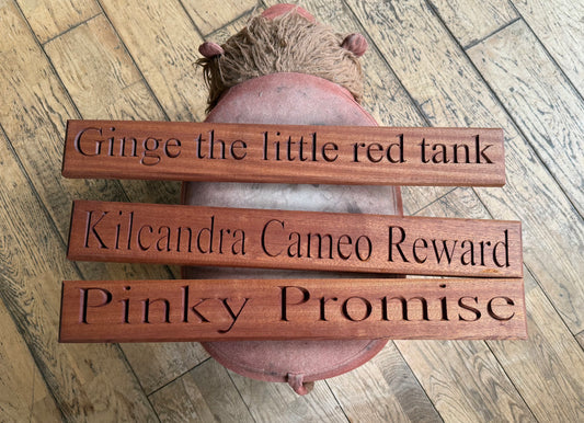 Personalised wooden stable signs engraved with horses names